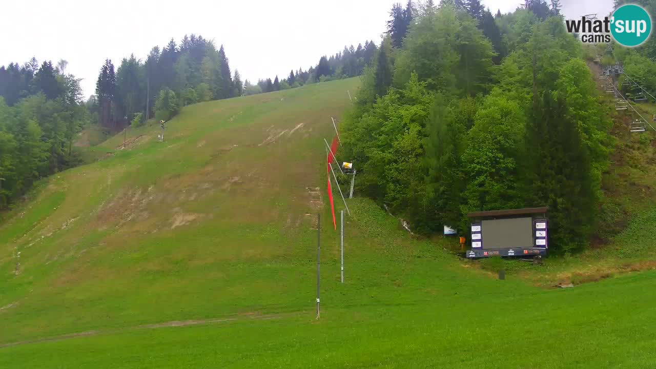 Podkoren / Kranjska Gora – Arrivo slalom gigante