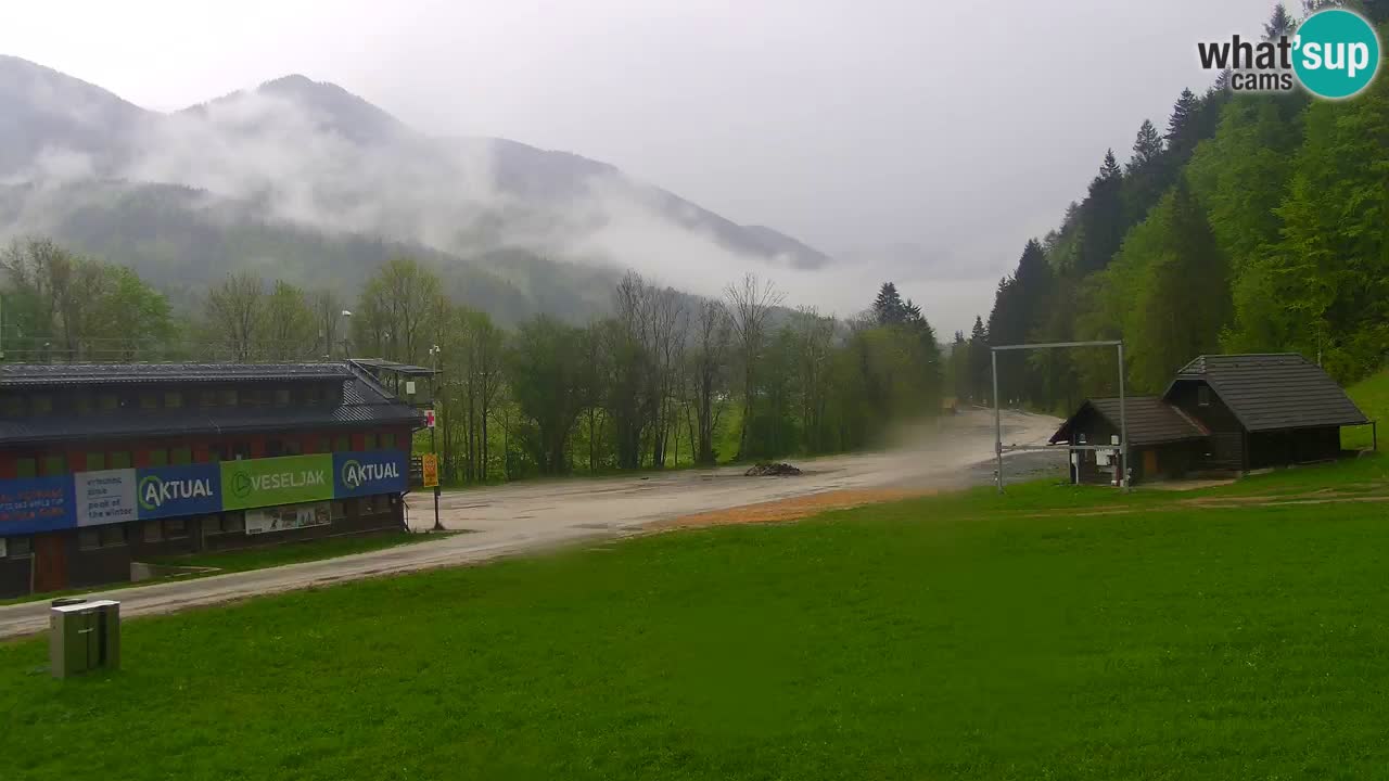 Spletna kamera Podkoren / Kranjska Gora – Poligon in ciljna strmina