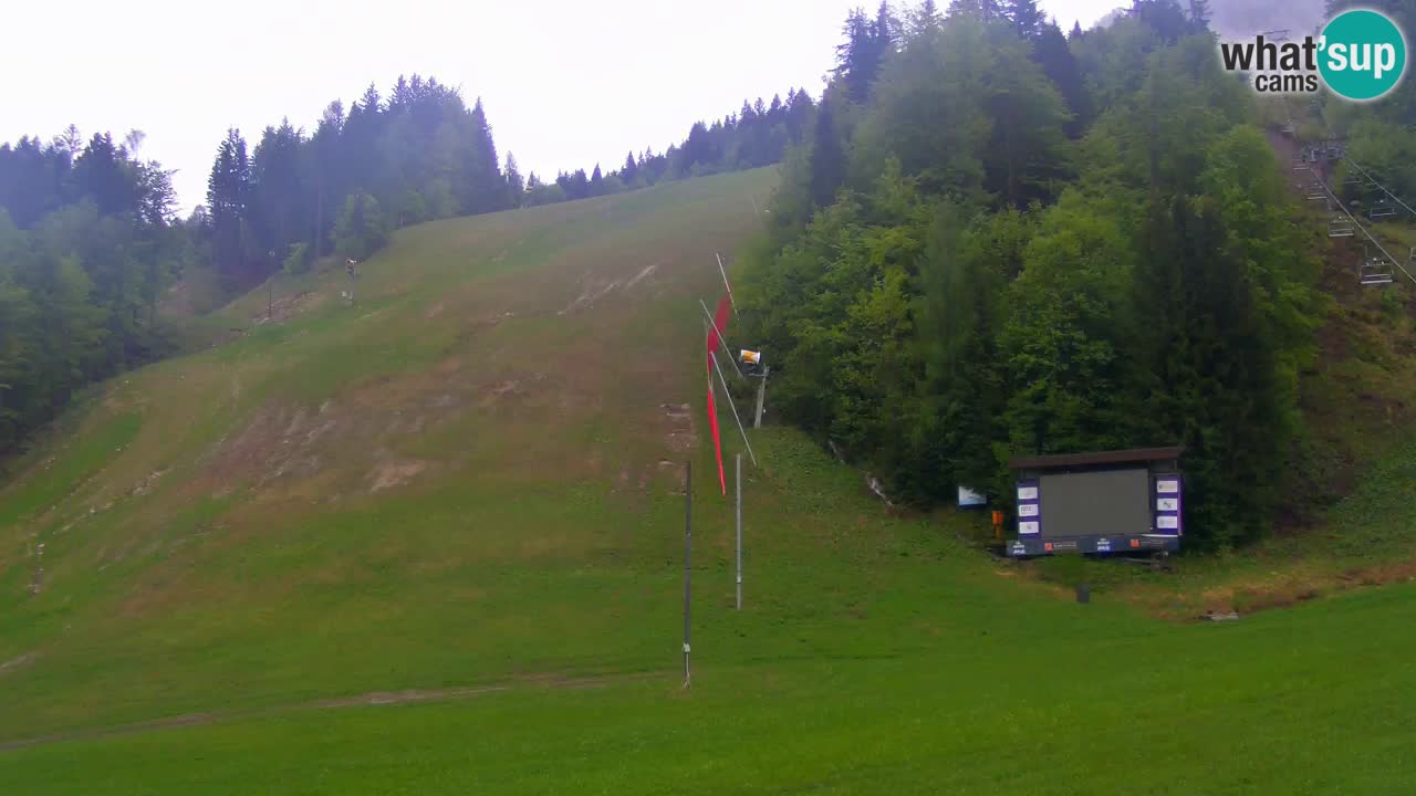Podkoren / Kranjska Gora – Ziel Riesenslalom