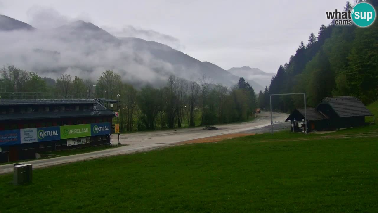 Podkoren / Kranjska Gora – Ziel Riesenslalom