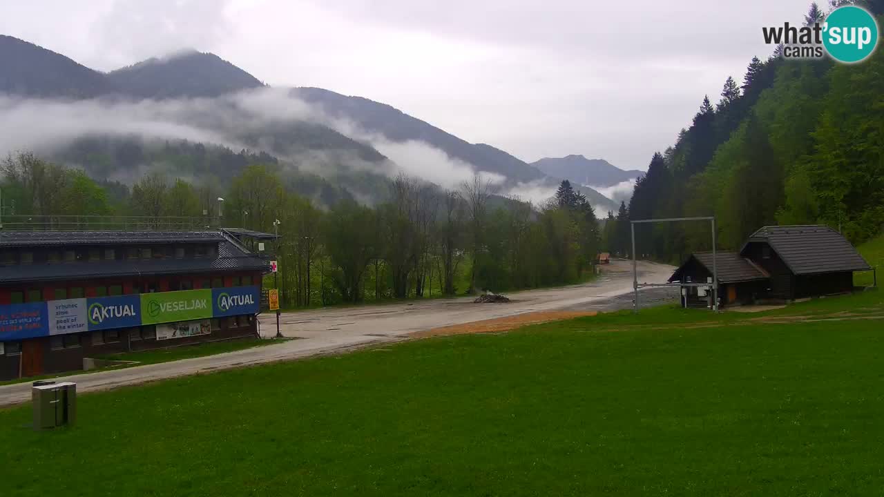 Podkoren / Kranjska Gora – Arrivo slalom gigante