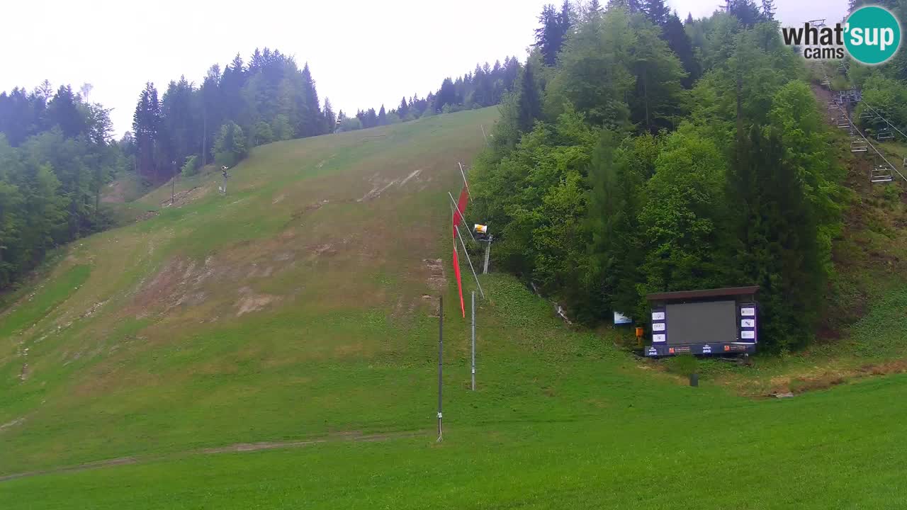 Podkoren / Kranjska Gora – Cilj veleslaloma svjetskog kupa