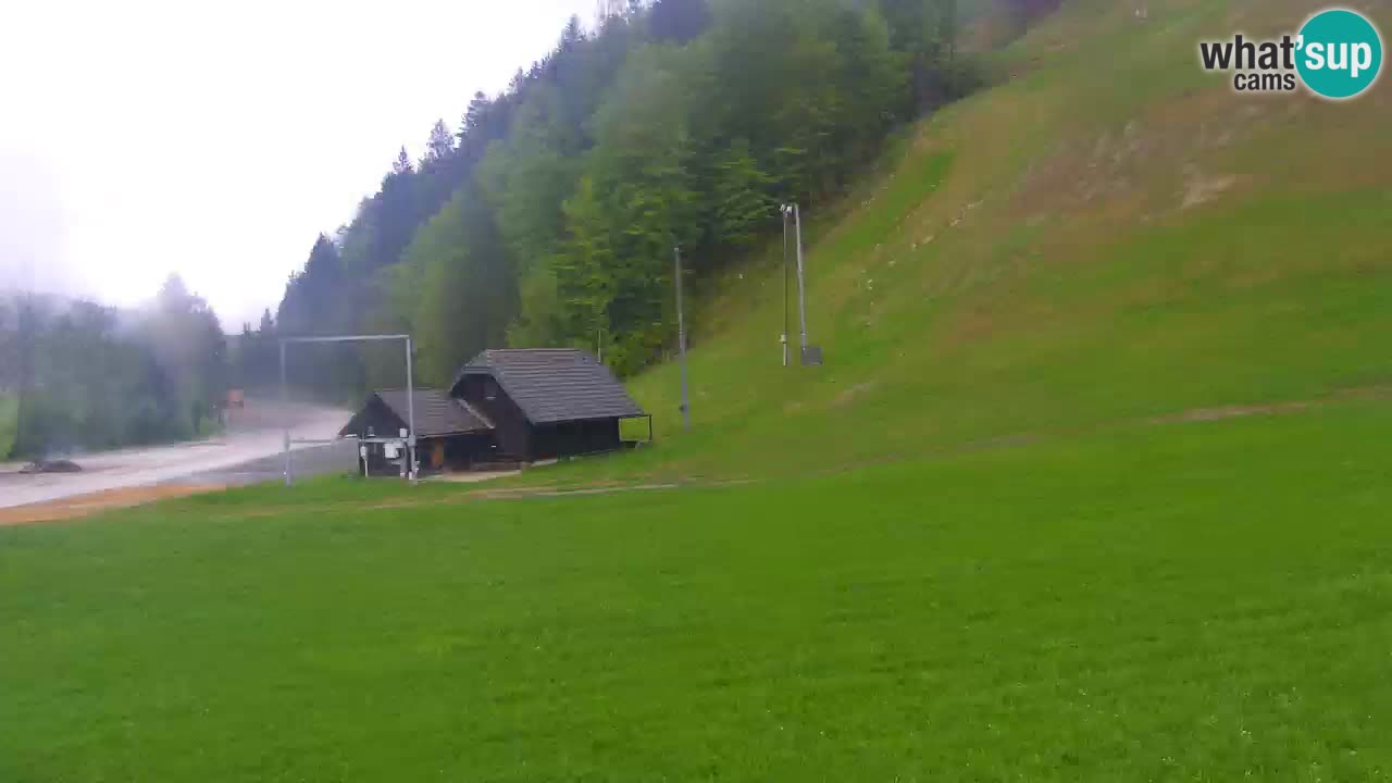 Podkoren / Kranjska Gora – Cilj veleslaloma svjetskog kupa