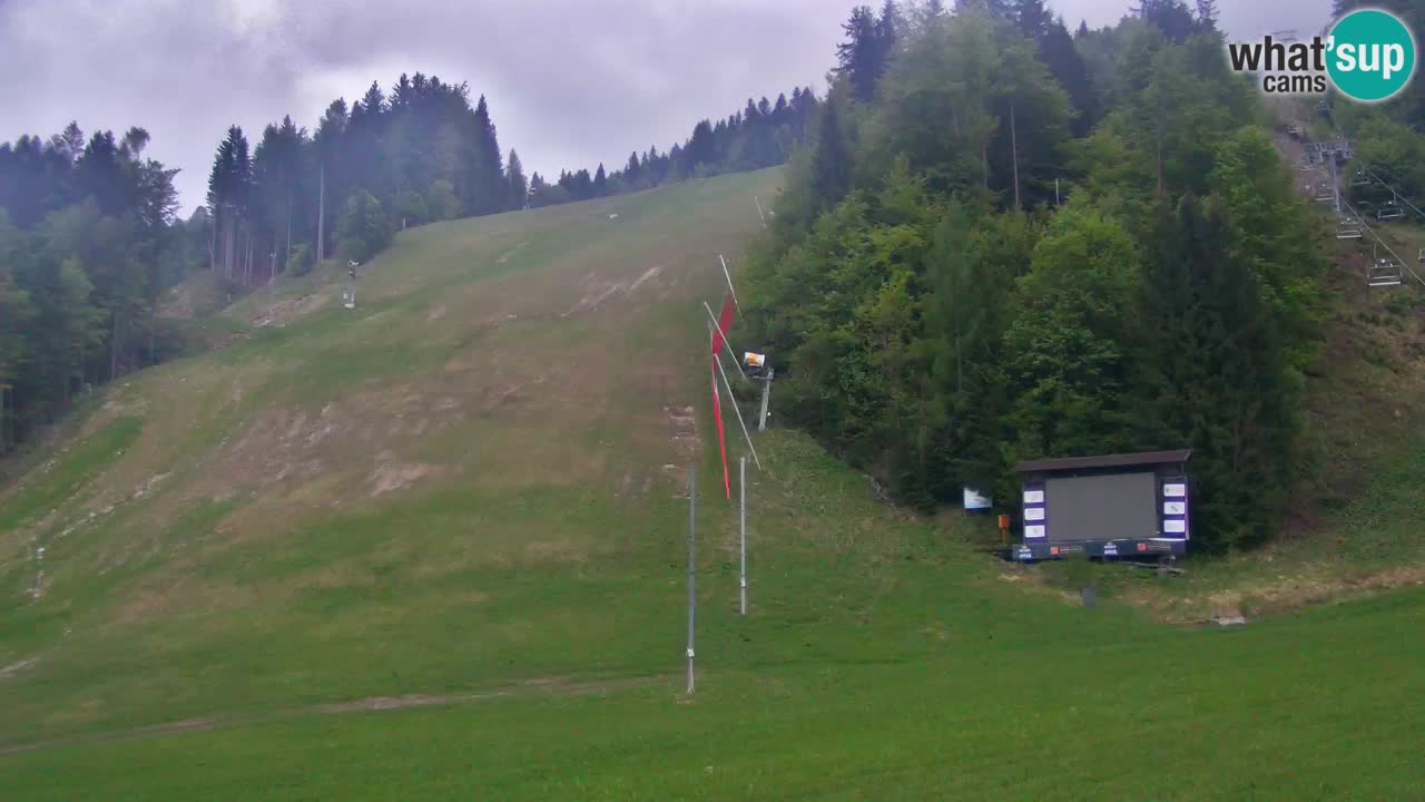 Podkoren / Kranjska Gora – Arrivo slalom gigante