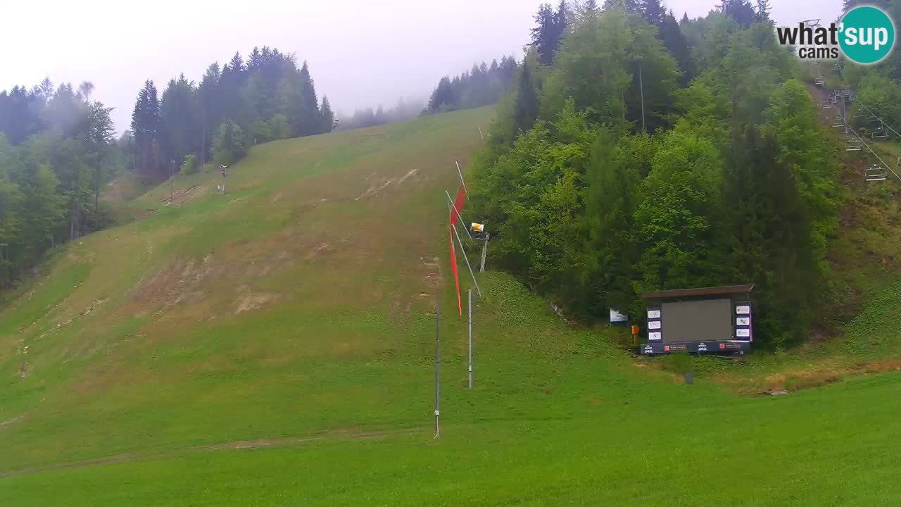 Podkoren / Kranjska Gora –  Meta Slalom gigante