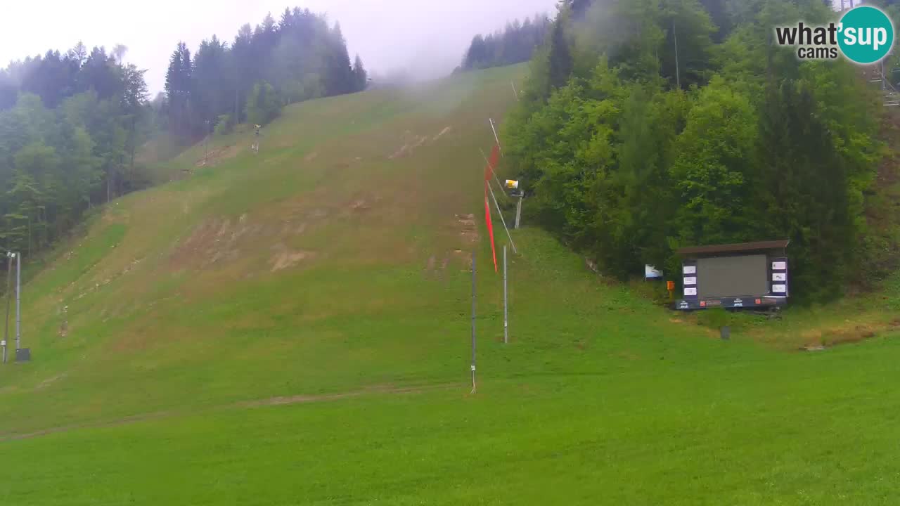 Podkoren Webcam Kranjska Gora | Finish of Giant slalom