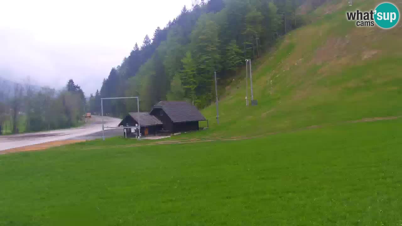 Podkoren / Kranjska Gora –  Meta Slalom gigante