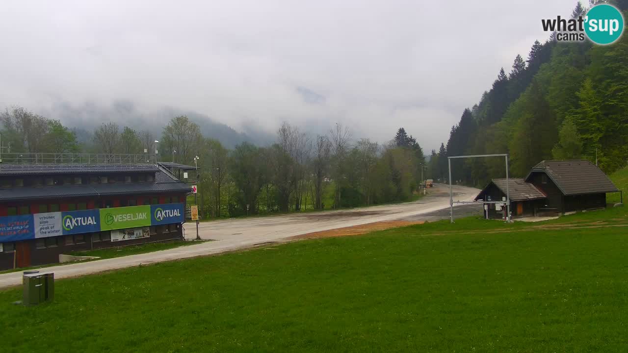 Podkoren / Kranjska Gora – Ziel Riesenslalom