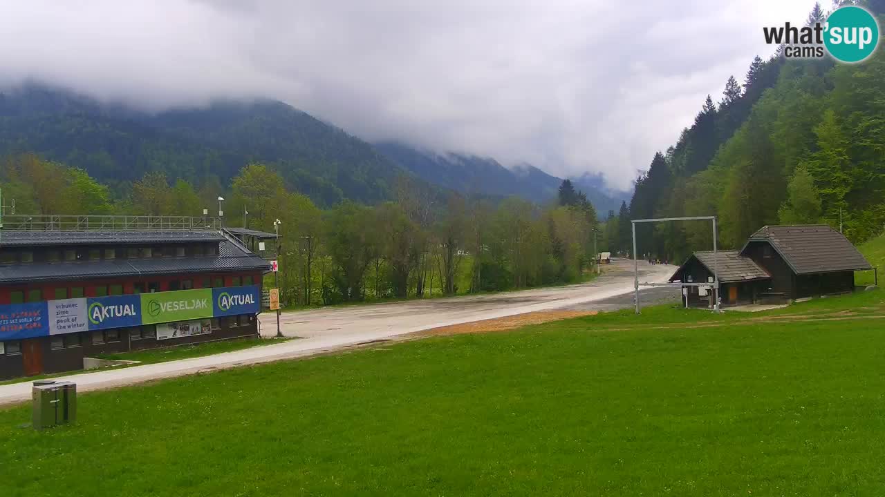 Podkoren / Kranjska Gora – Arrivo slalom gigante