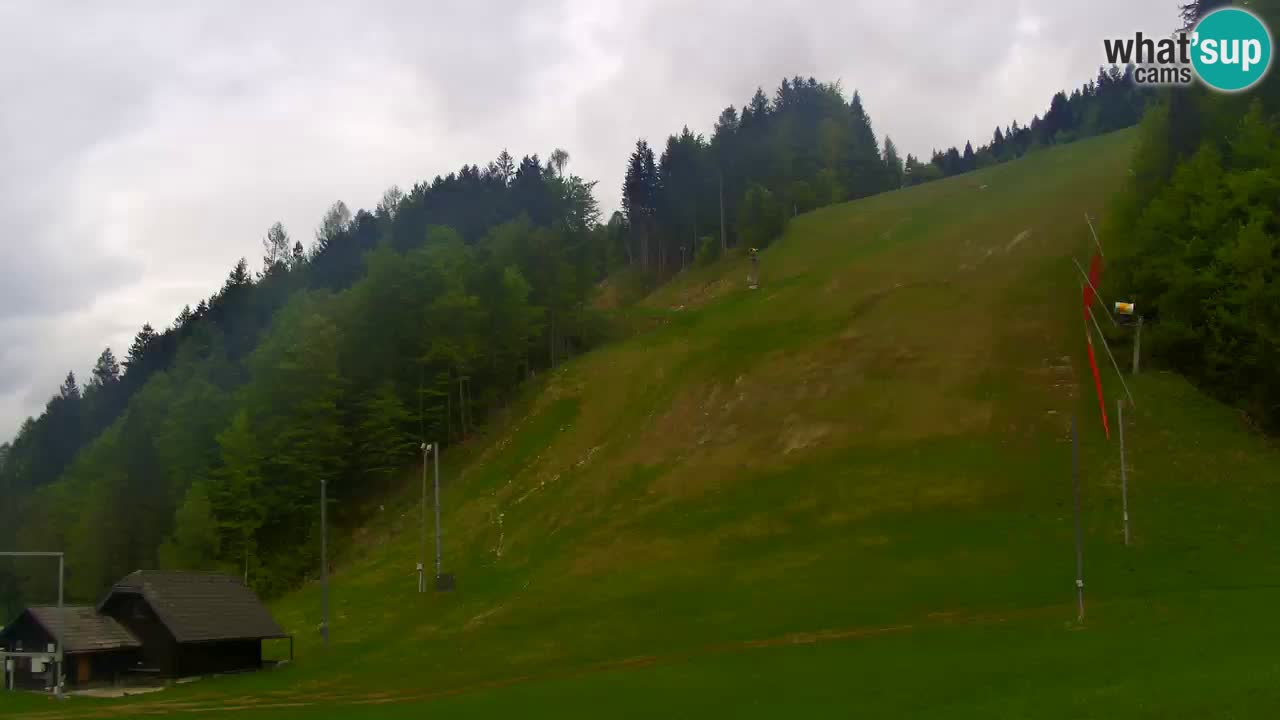 Podkoren / Kranjska Gora – Arrivo slalom gigante