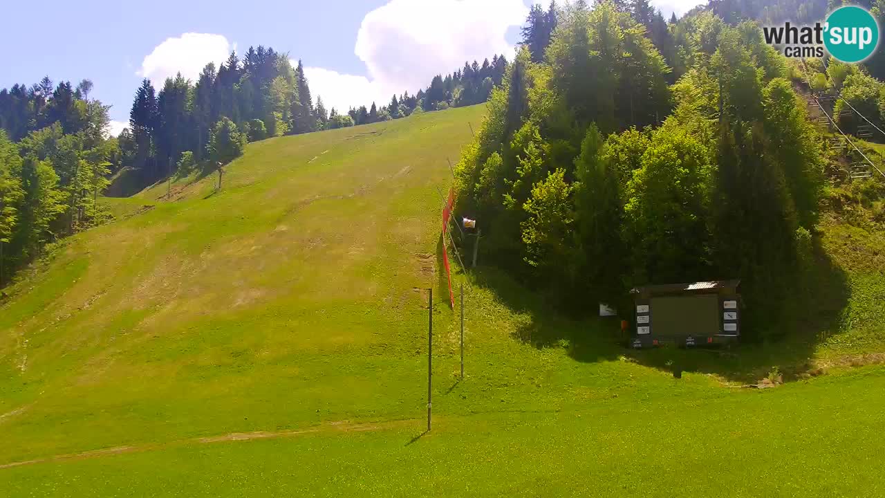 Podkoren / Kranjska Gora – Cilj veleslaloma svjetskog kupa