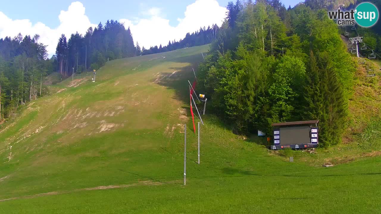 Podkoren Webcam Kranjska Gora | Finish of Giant slalom