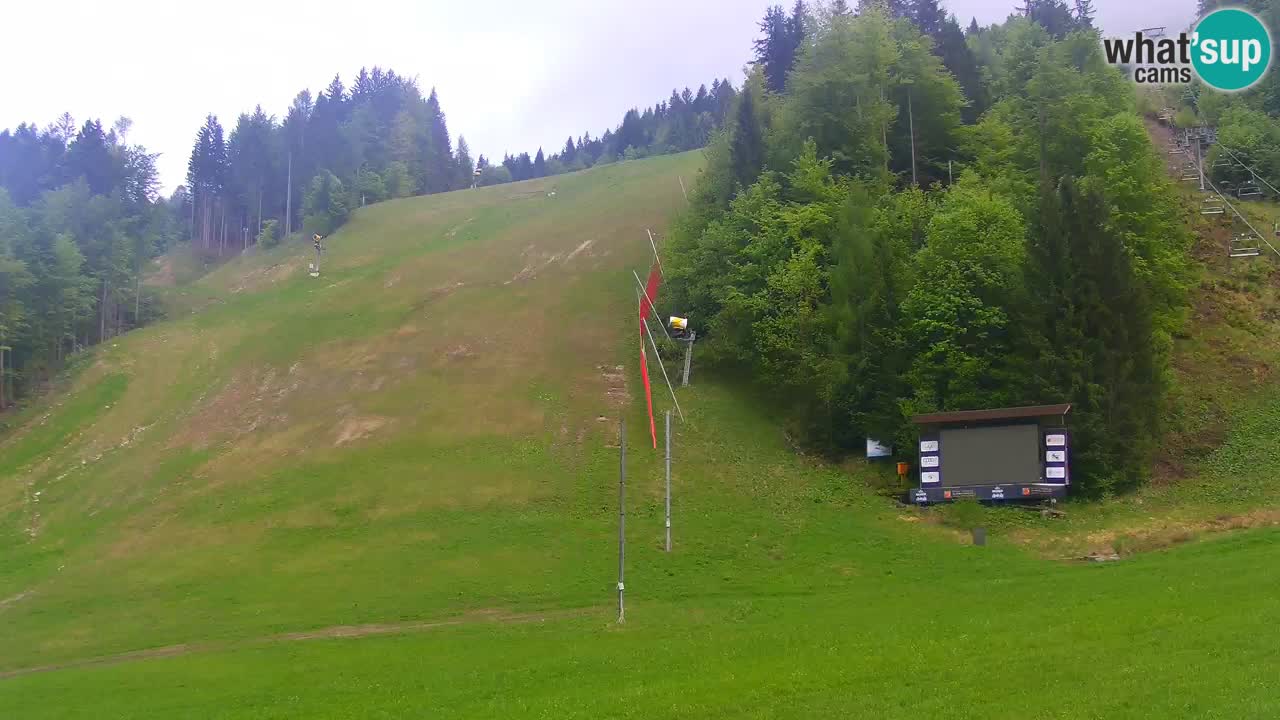 Podkoren / Kranjska Gora – Ziel Riesenslalom