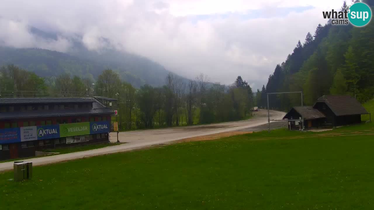 Podkoren / Kranjska Gora –  Meta Slalom gigante