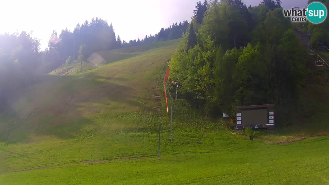 Podkoren Webcam Kranjska Gora | Finish of Giant slalom