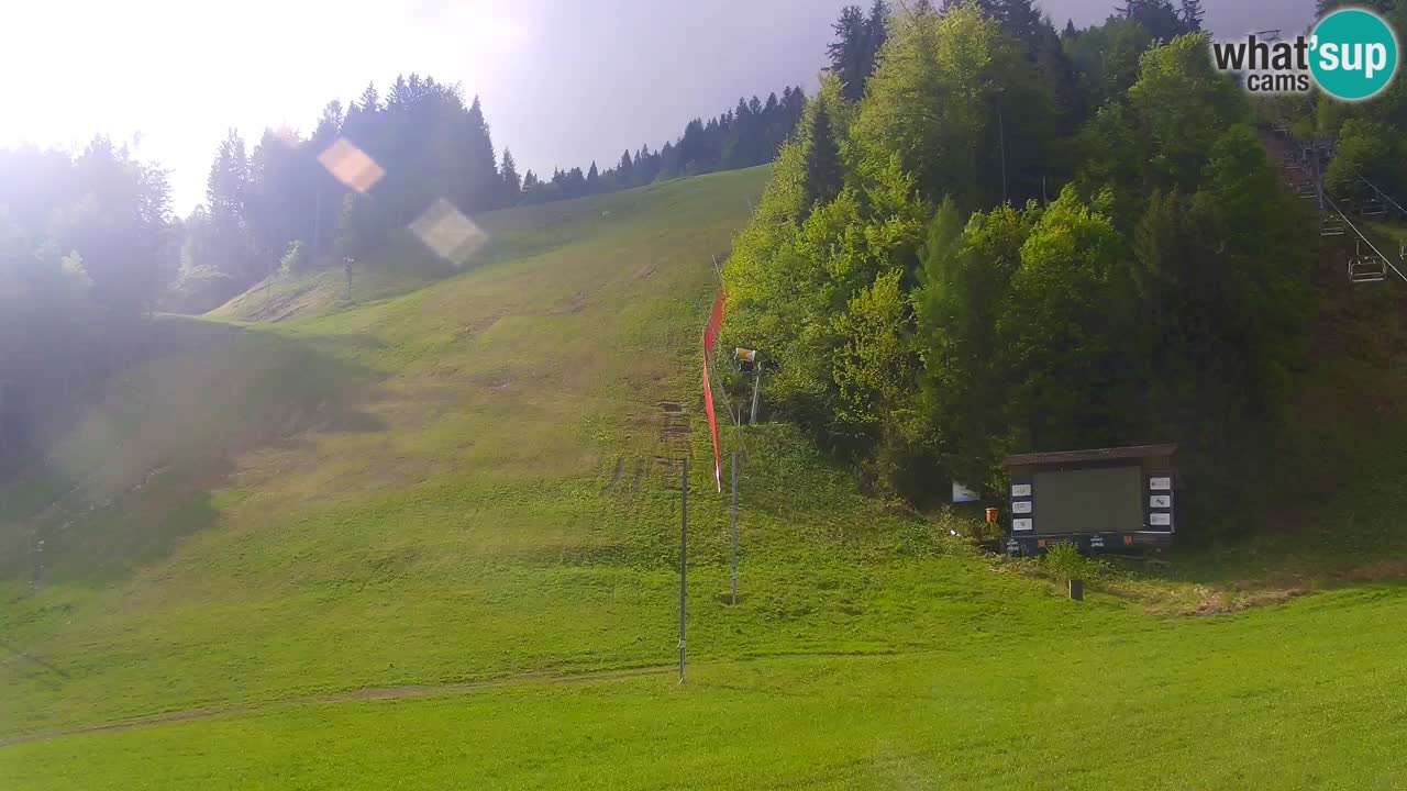 Podkoren Webcam Kranjska Gora | Finish of Giant slalom