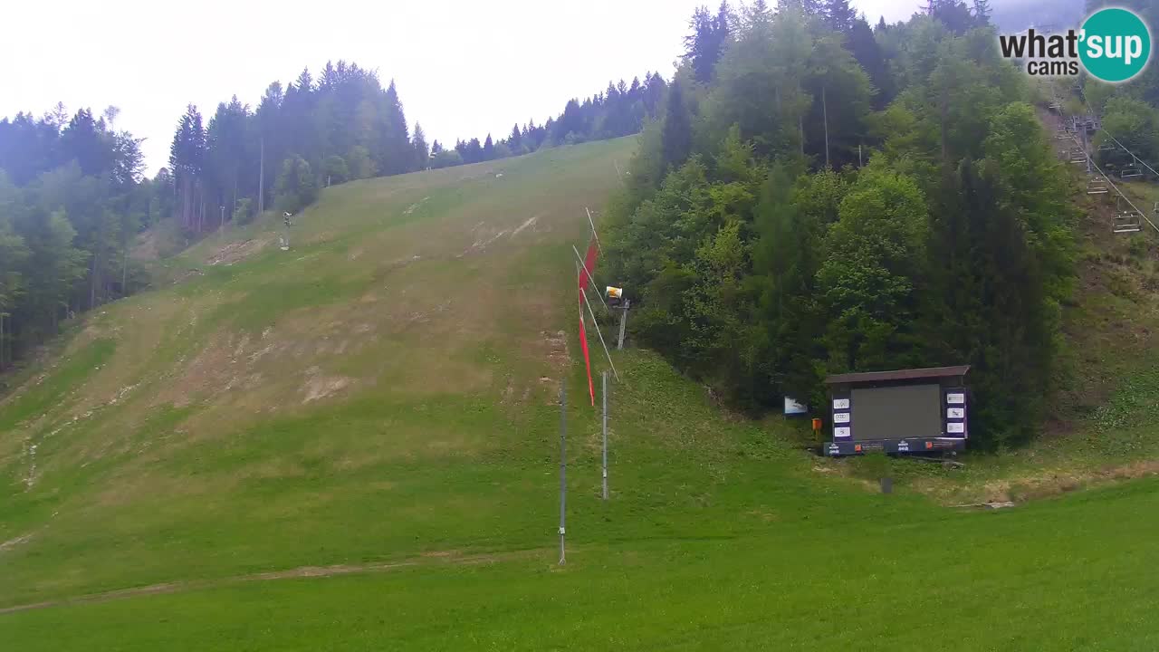 PODKOREN Kamera | Smučišče Podkoren – Kranjska Gora v ŽIVO