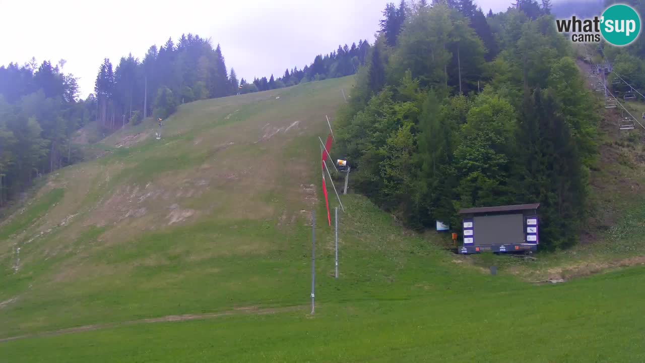 PODKOREN Kamera | Smučišče Podkoren – Kranjska Gora v ŽIVO