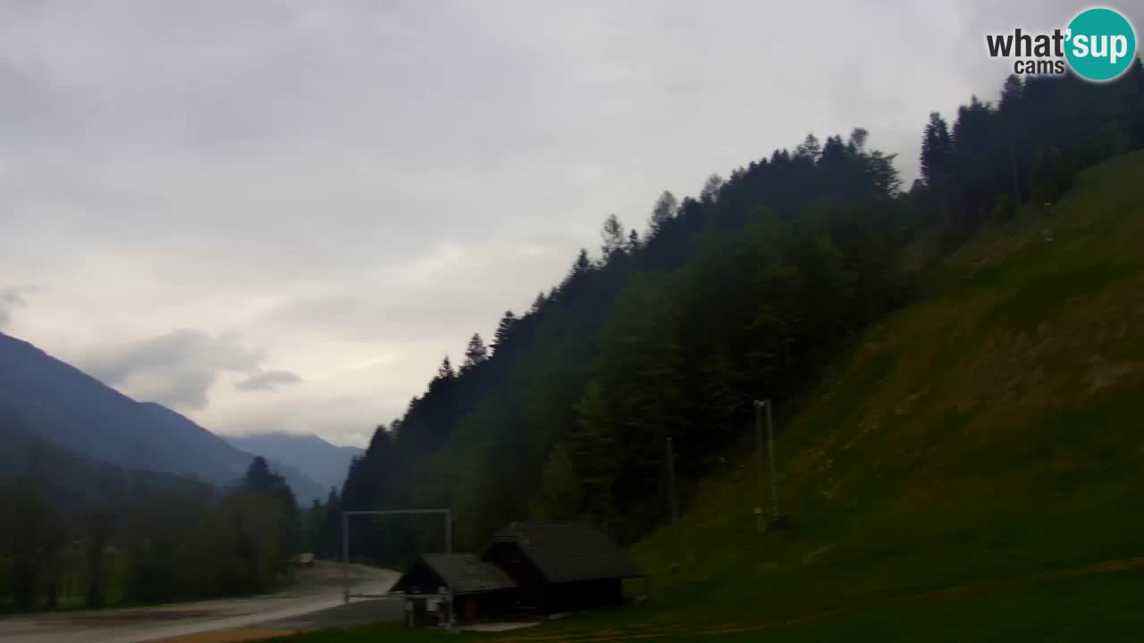 Podkoren / Kranjska Gora – Ziel Riesenslalom