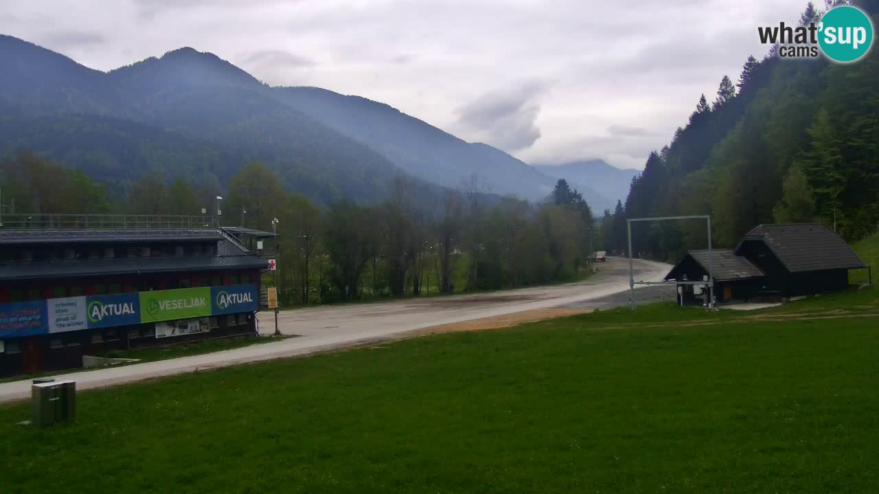 Podkoren Webcam Kranjska Gora | Finish of Giant slalom