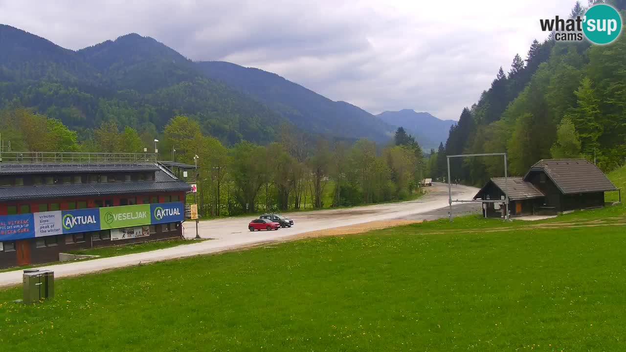 Podkoren / Kranjska Gora – Arrivo slalom gigante