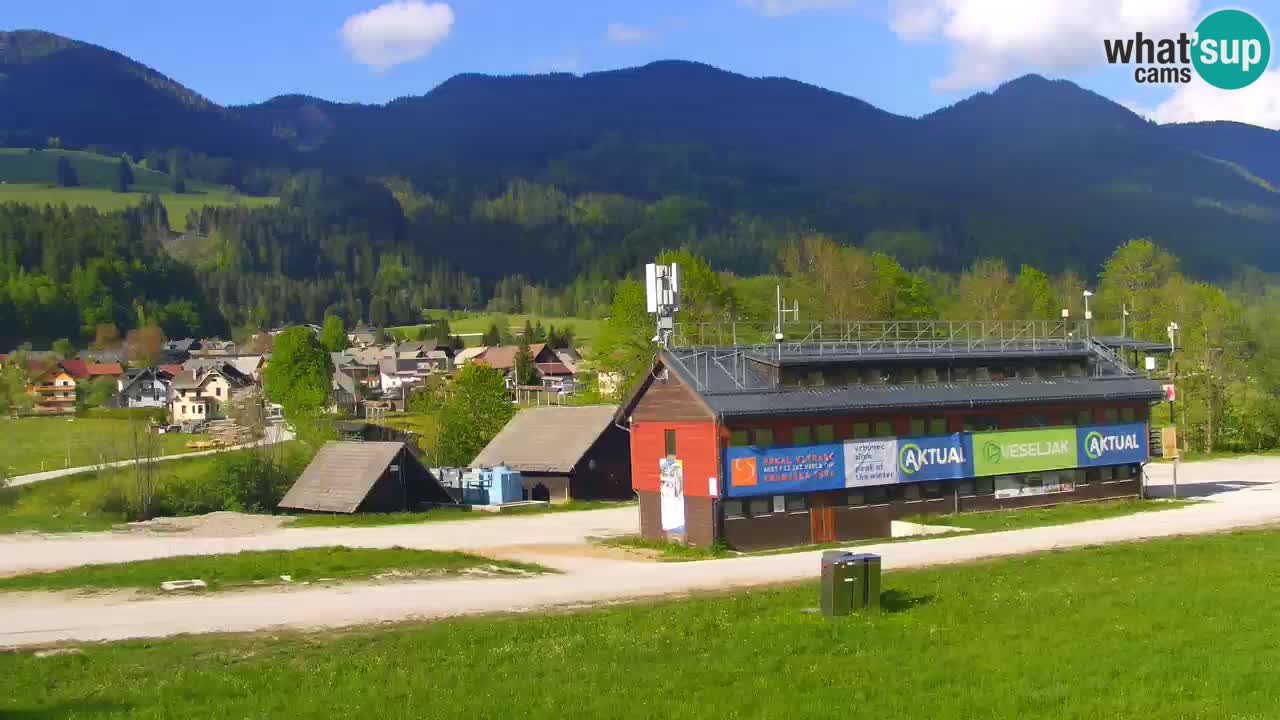 Podkoren / Kranjska Gora – Arrivo slalom gigante