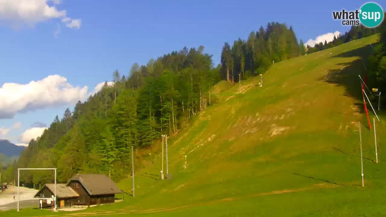 Podkoren Webcam Kranjska Gora | Finish of Giant slalom