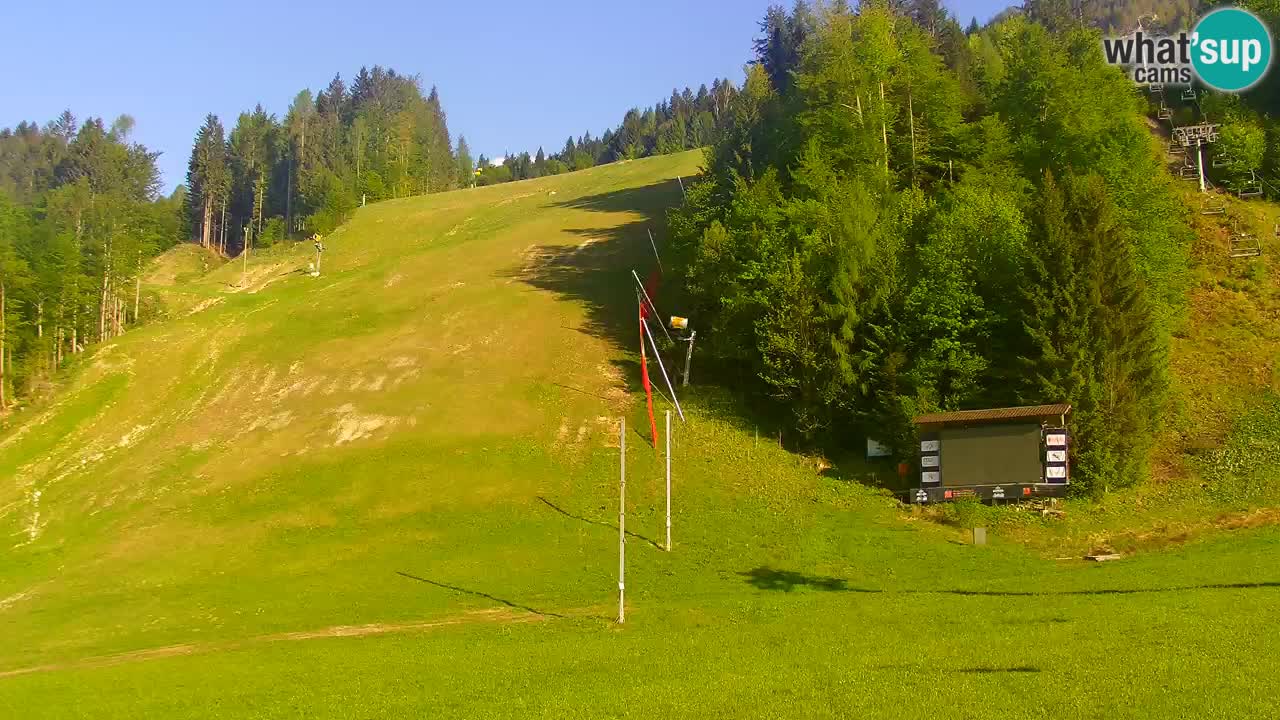 Podkoren / Kranjska Gora – Ziel Riesenslalom