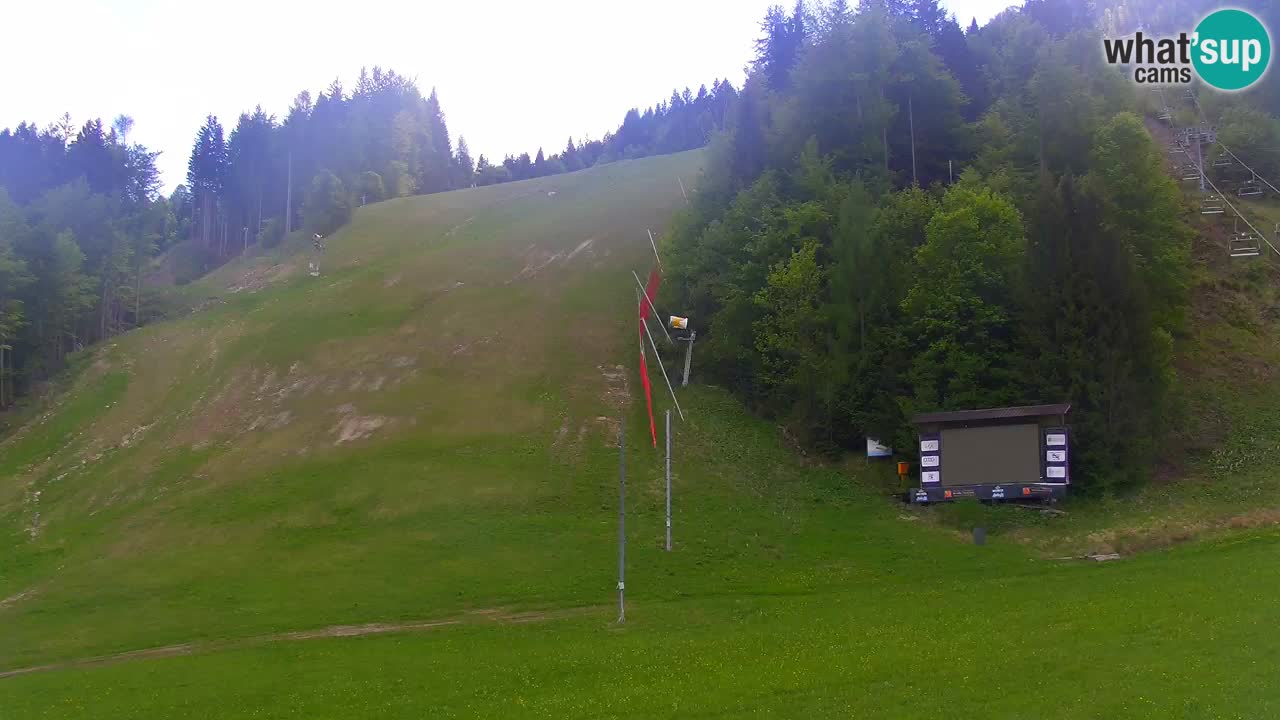 Podkoren / Kranjska Gora –  Meta Slalom gigante