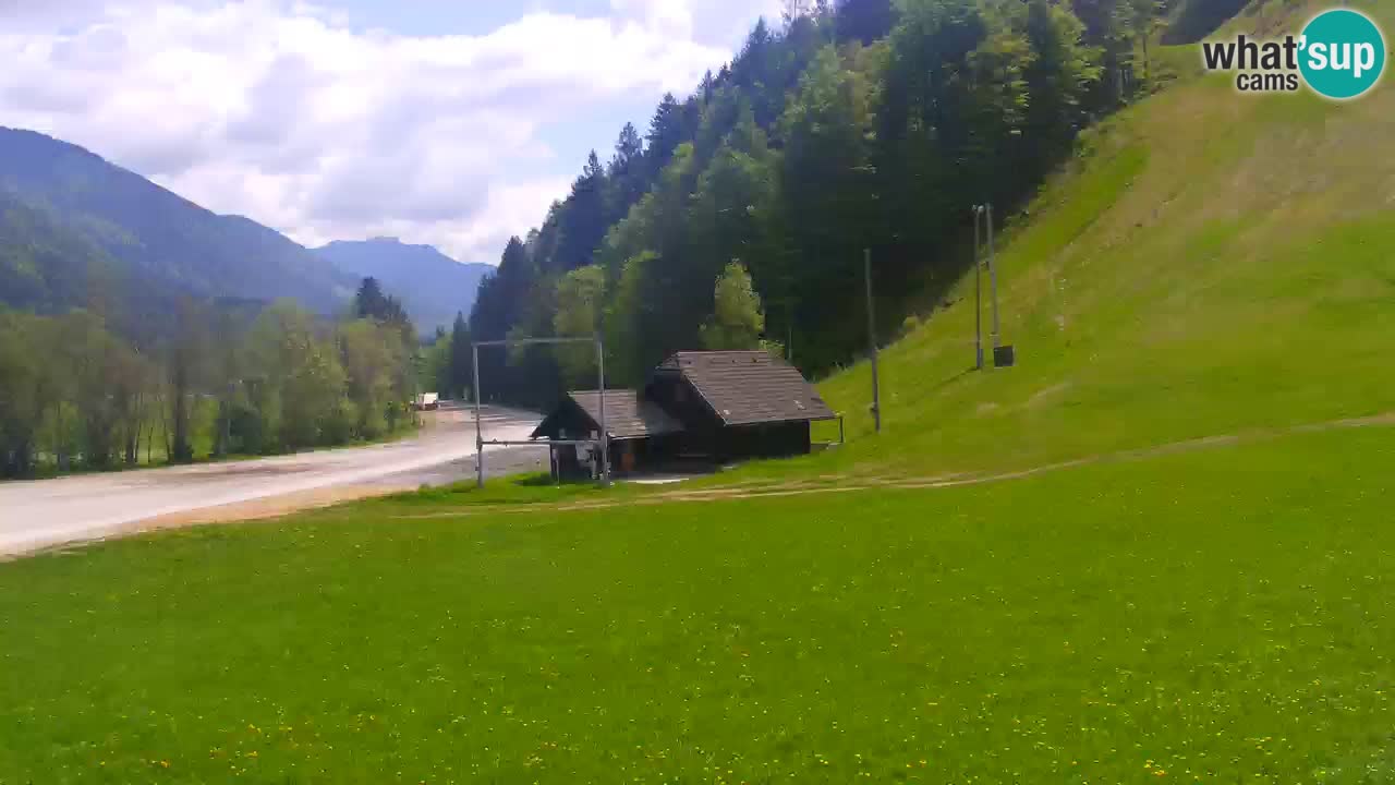 Podkoren Webcam Kranjska Gora | Finish of Giant slalom