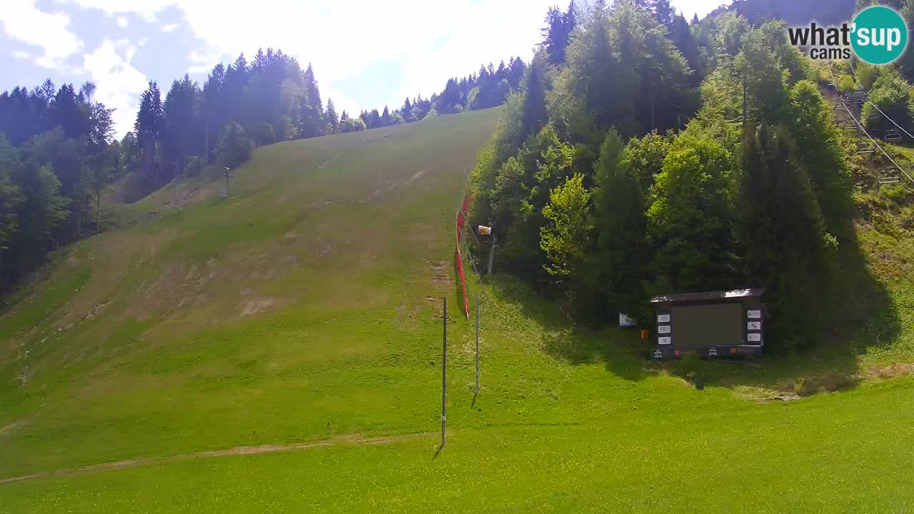 Podkoren / Kranjska Gora – Cilj veleslaloma svjetskog kupa