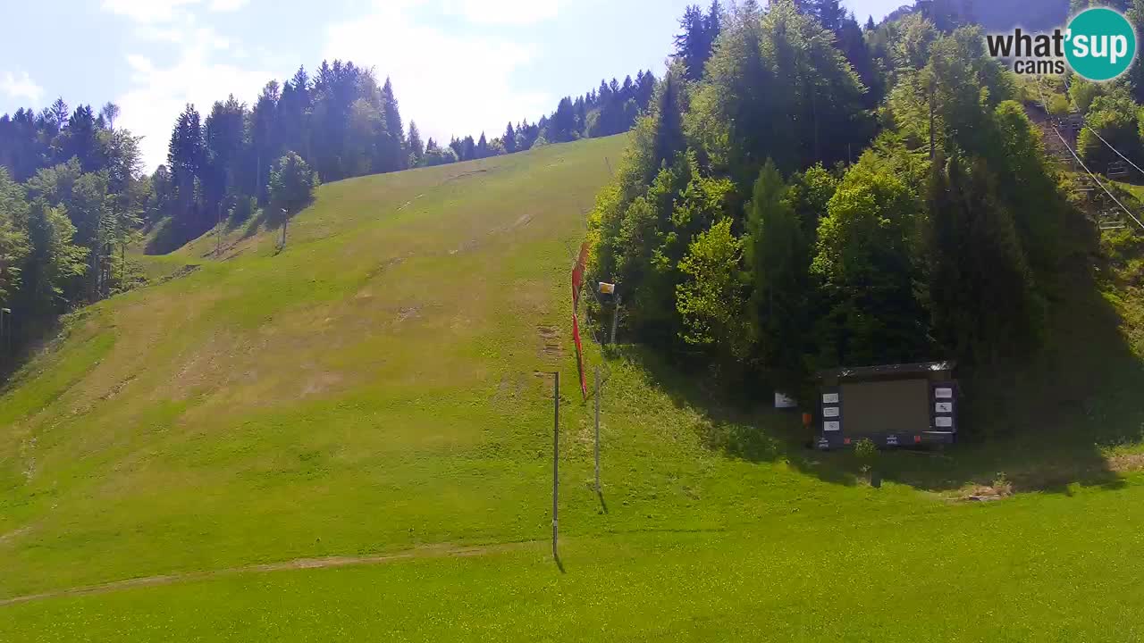 Podkoren / Kranjska Gora – Ziel Riesenslalom