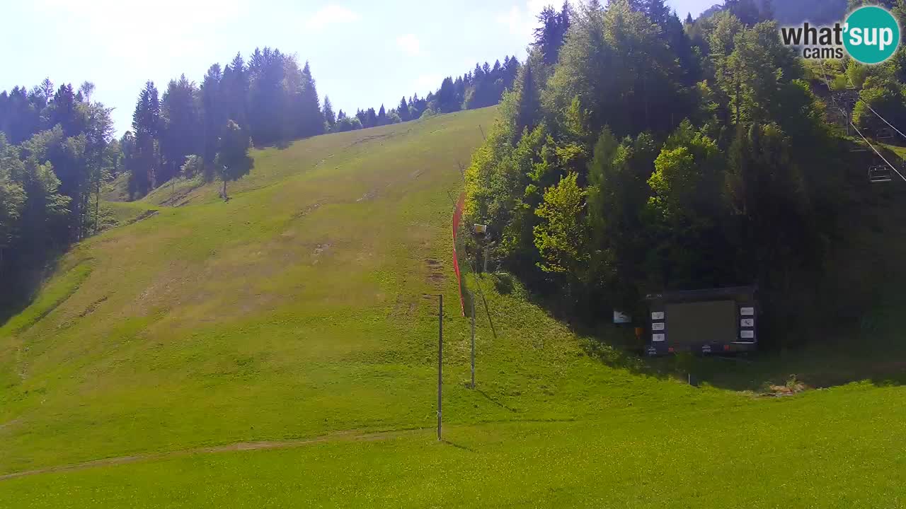 Podkoren slalom géant | Start – Kranjska Gora