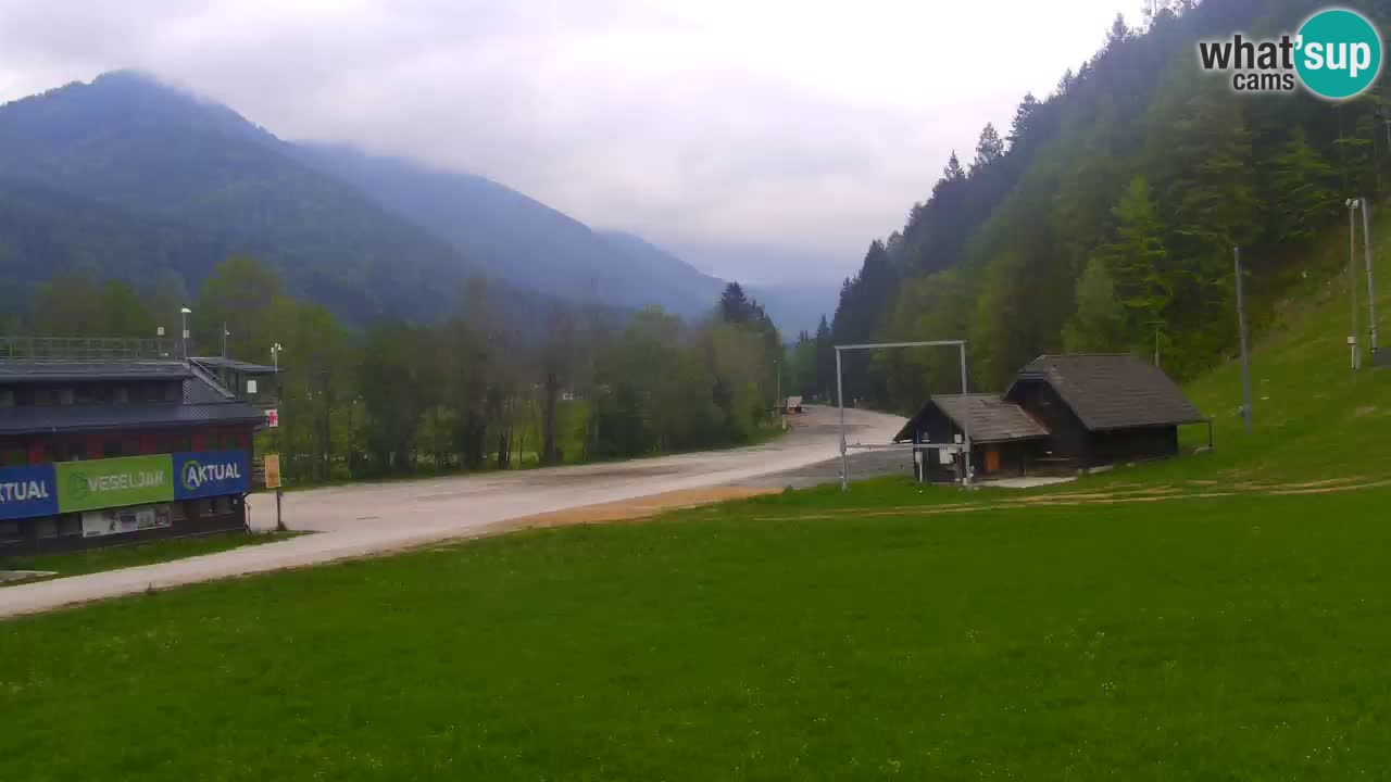 Podkoren / Kranjska Gora – Arrivo slalom gigante