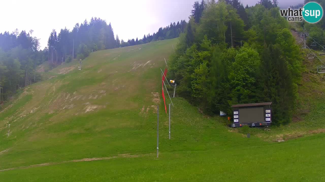 Podkoren / Kranjska Gora –  Meta Slalom gigante
