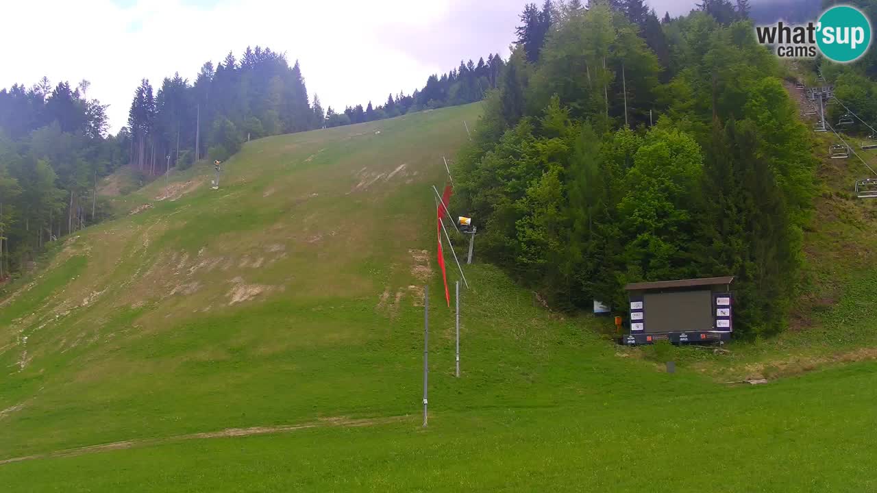 Podkoren / Kranjska Gora – Ziel Riesenslalom