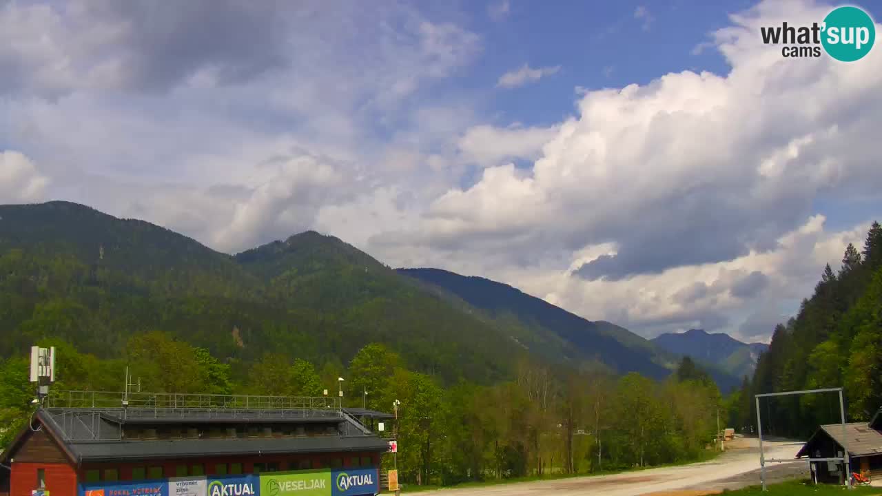 Podkoren Webcam Kranjska Gora | Finish of Giant slalom
