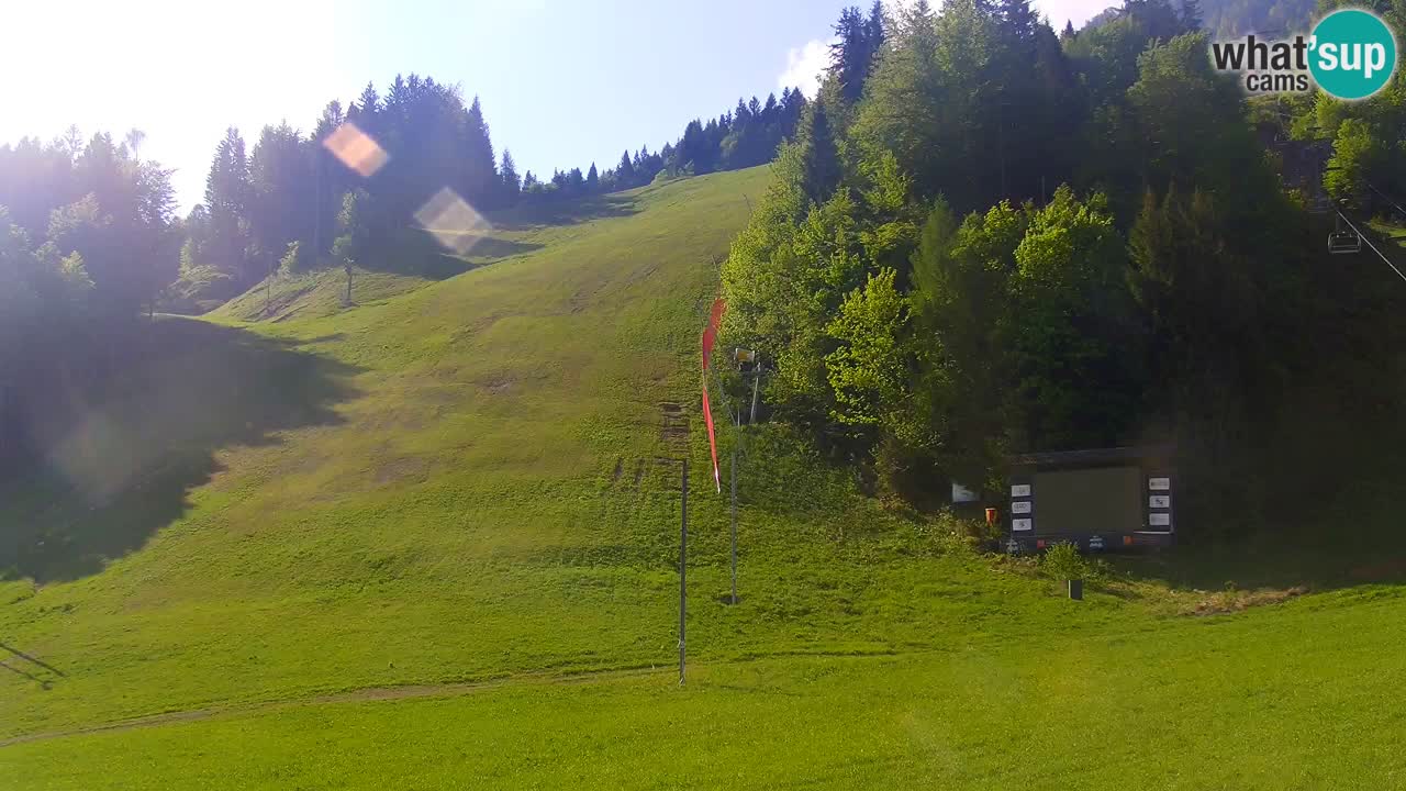 Podkoren / Kranjska Gora – Arrivee slalom géant