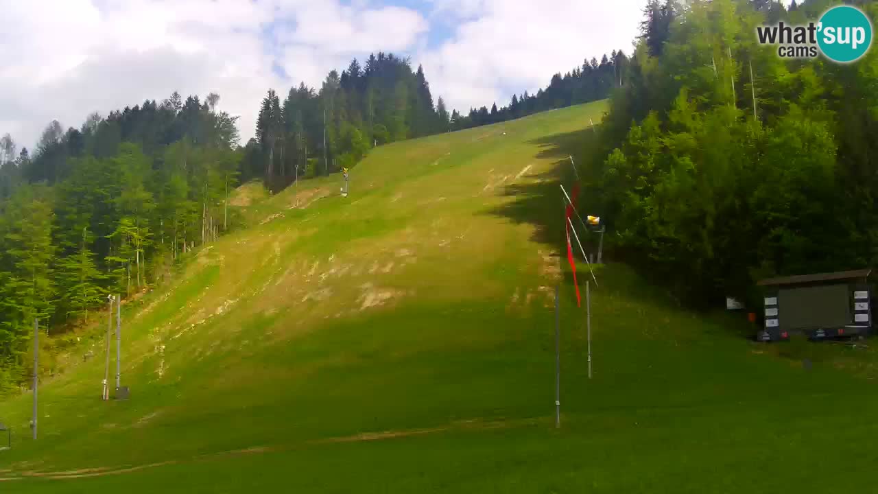 Podkoren / Kranjska Gora – Arrivee slalom géant