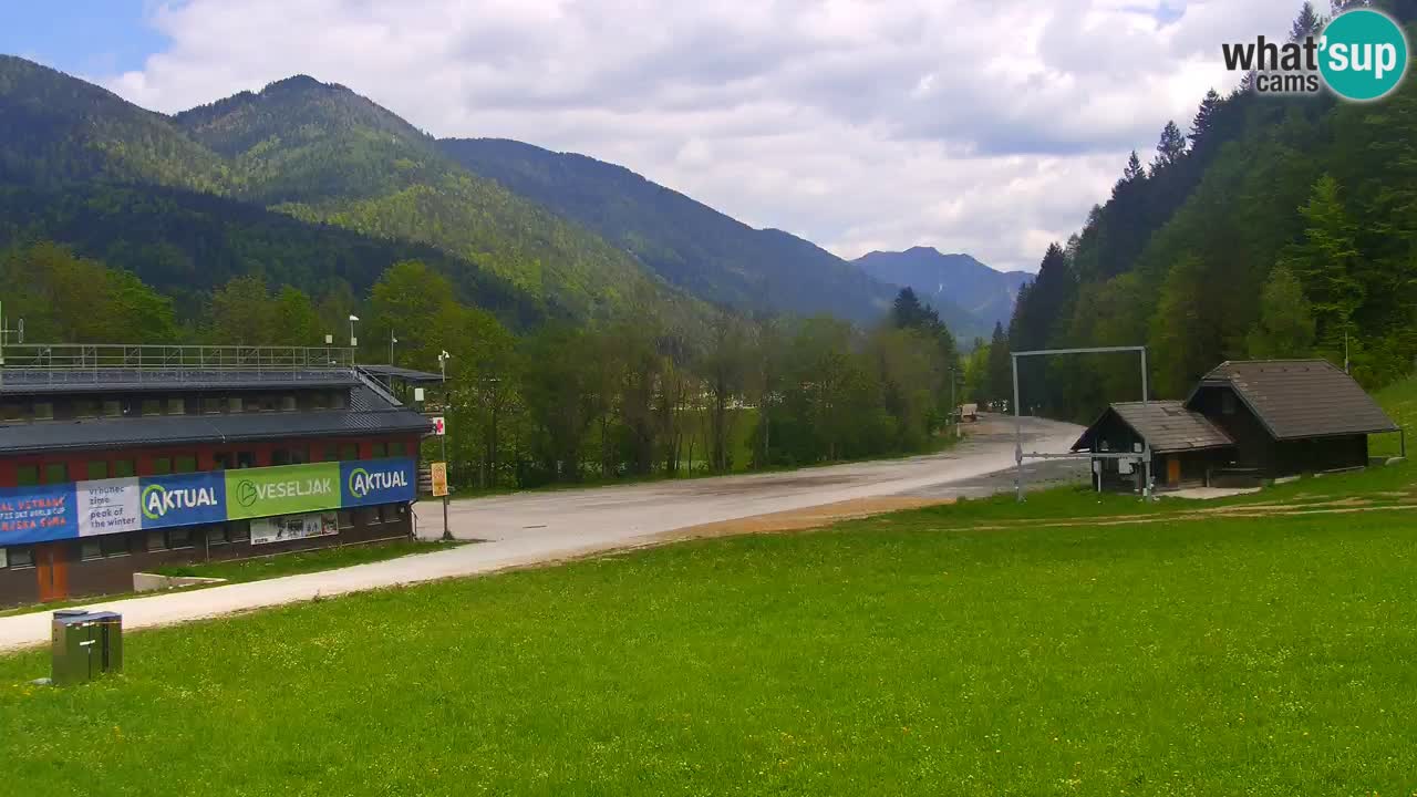 Podkoren Webcam Kranjska Gora | Finish of Giant slalom