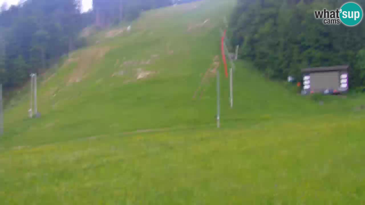 Podkoren Webcam Kranjska Gora | Finish of Giant slalom