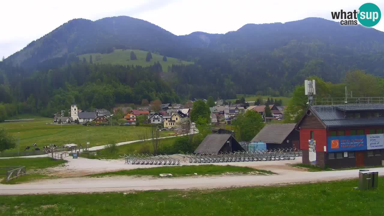 Podkoren / Kranjska Gora – Arrivo slalom gigante