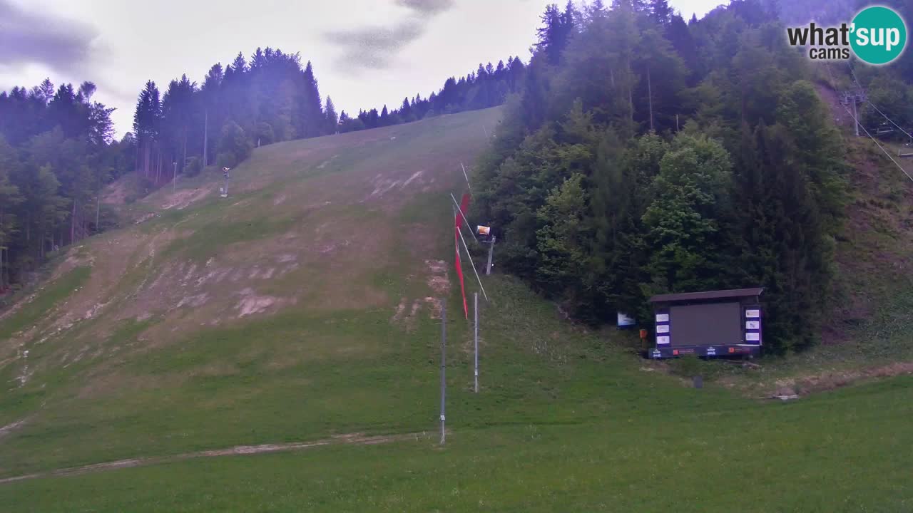Podkoren – Kranjska Gora – Finish of Giant slalom
