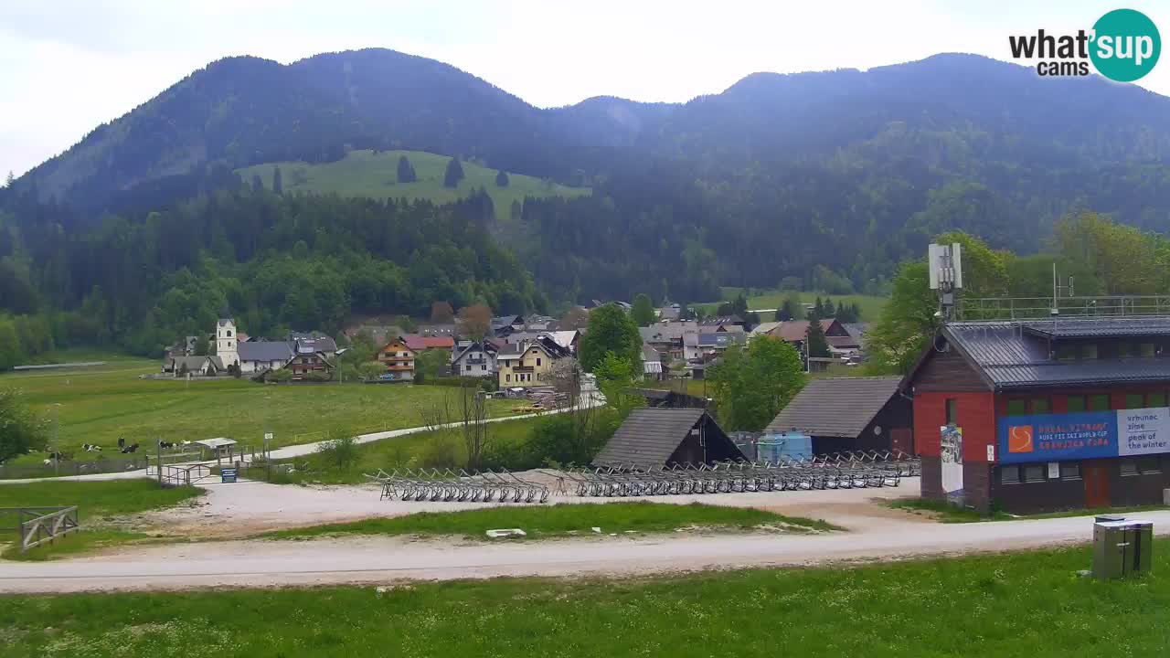 Podkoren / Kranjska Gora – Ziel Riesenslalom