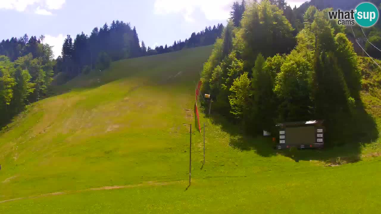 Podkoren / Kranjska Gora – Arrivo slalom gigante