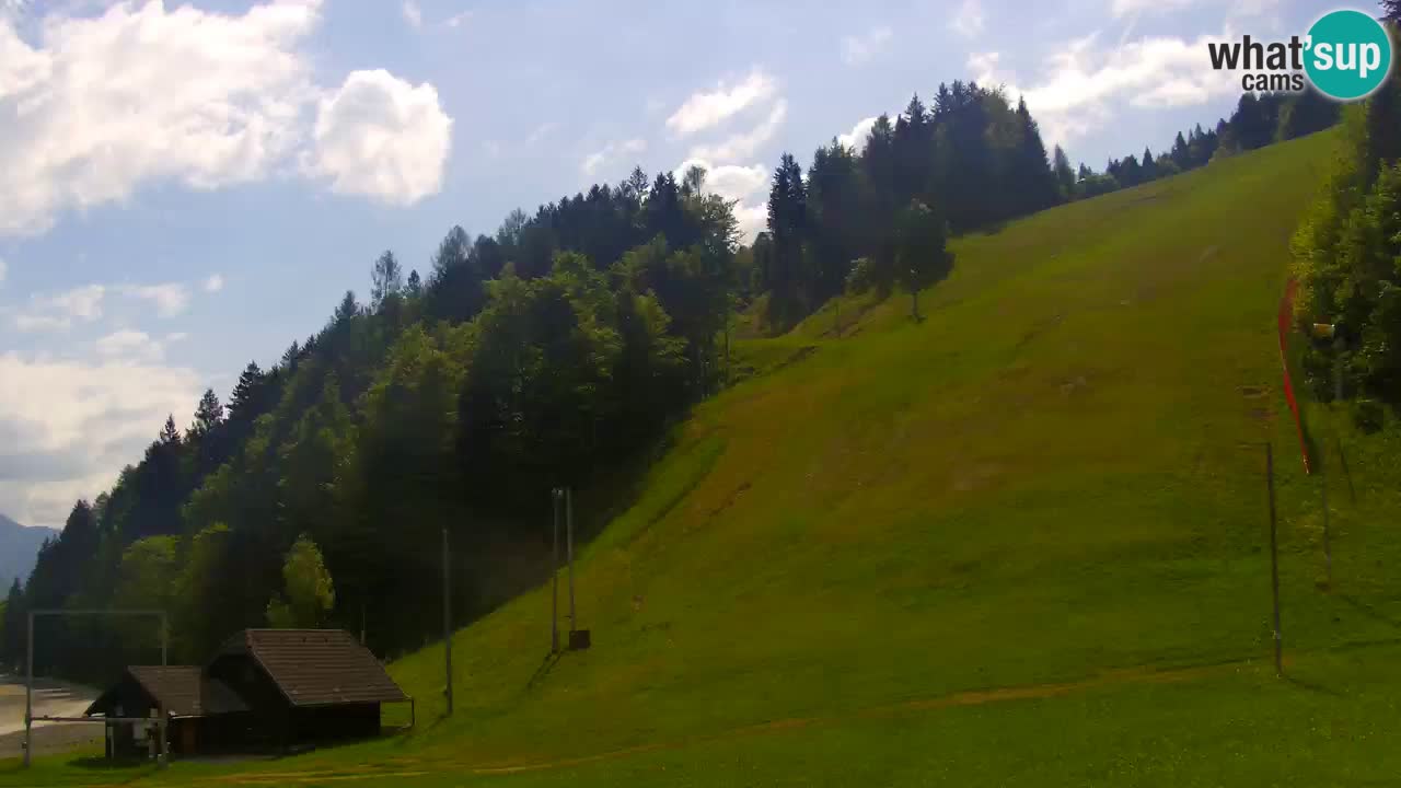 Podkoren / Kranjska Gora – Ziel Riesenslalom