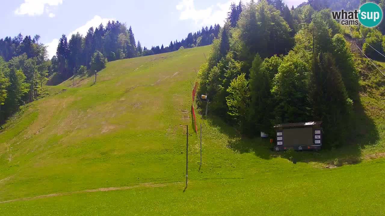 Podkoren / Kranjska Gora –  Meta Slalom gigante