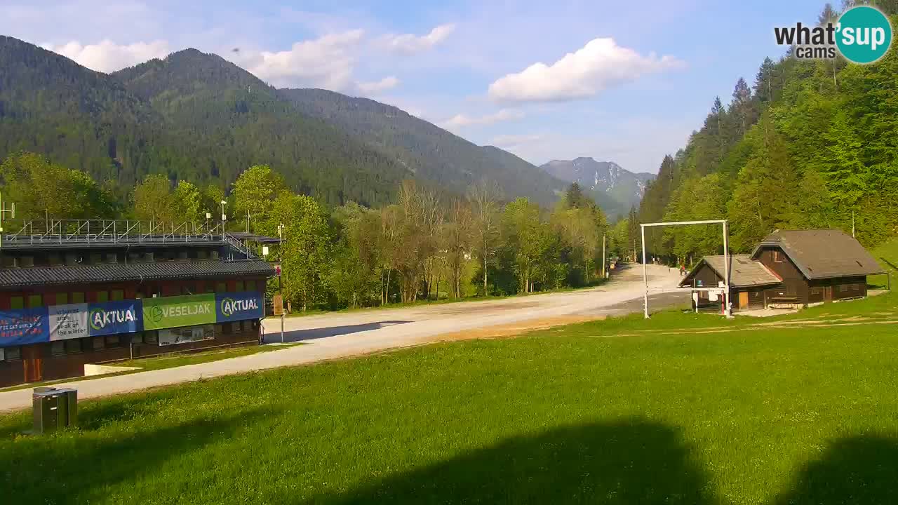 Podkoren / Kranjska Gora – Arrivo slalom gigante