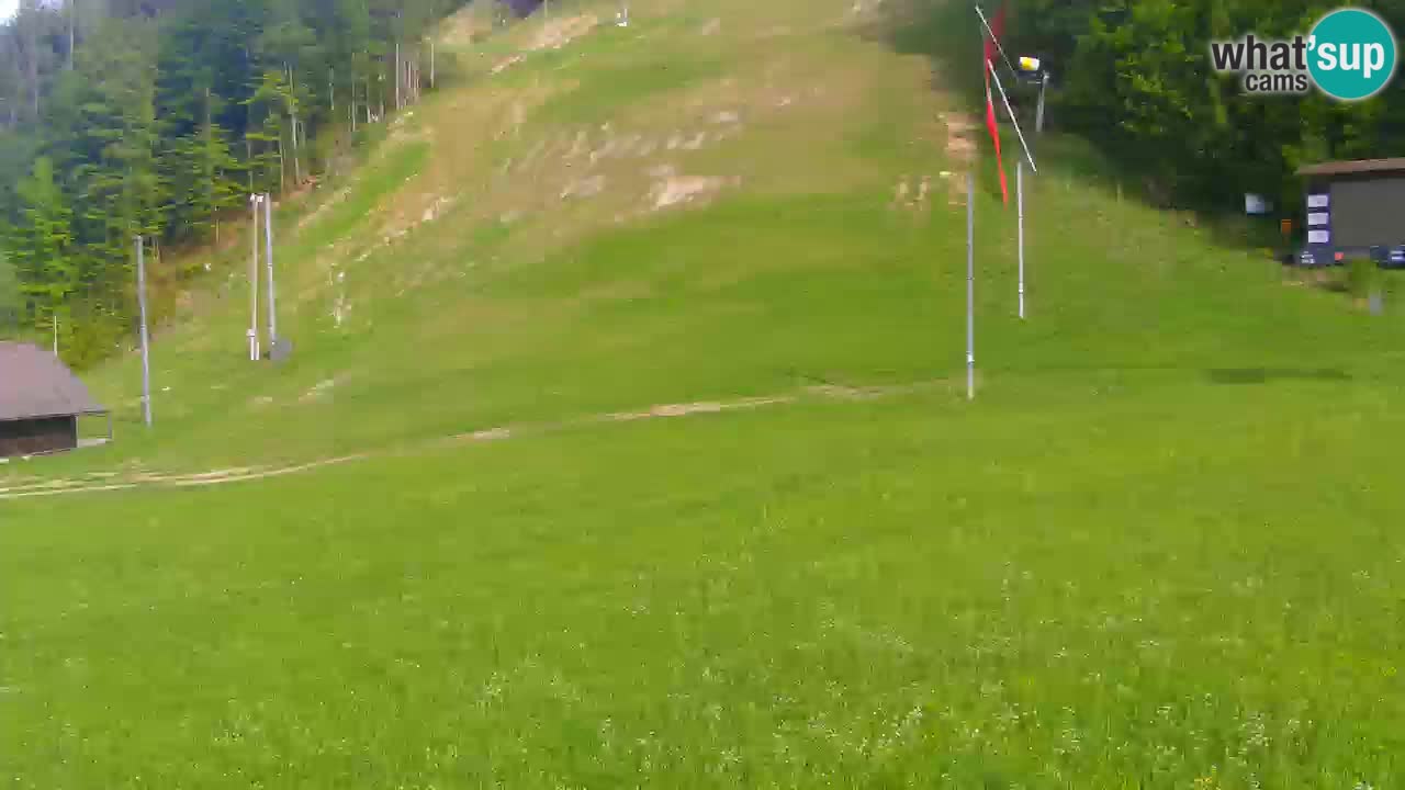 Podkoren Webcam Kranjska Gora | Finish of Giant slalom