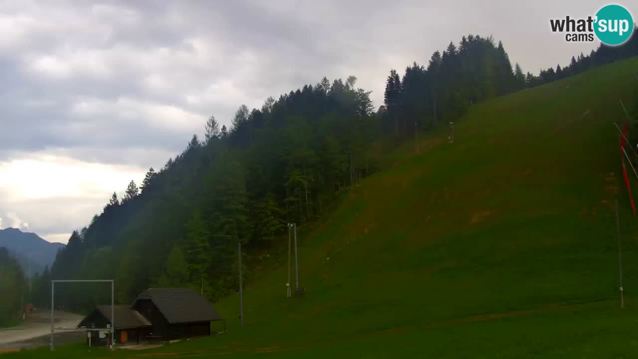 Podkoren / Kranjska Gora –  Meta Slalom gigante